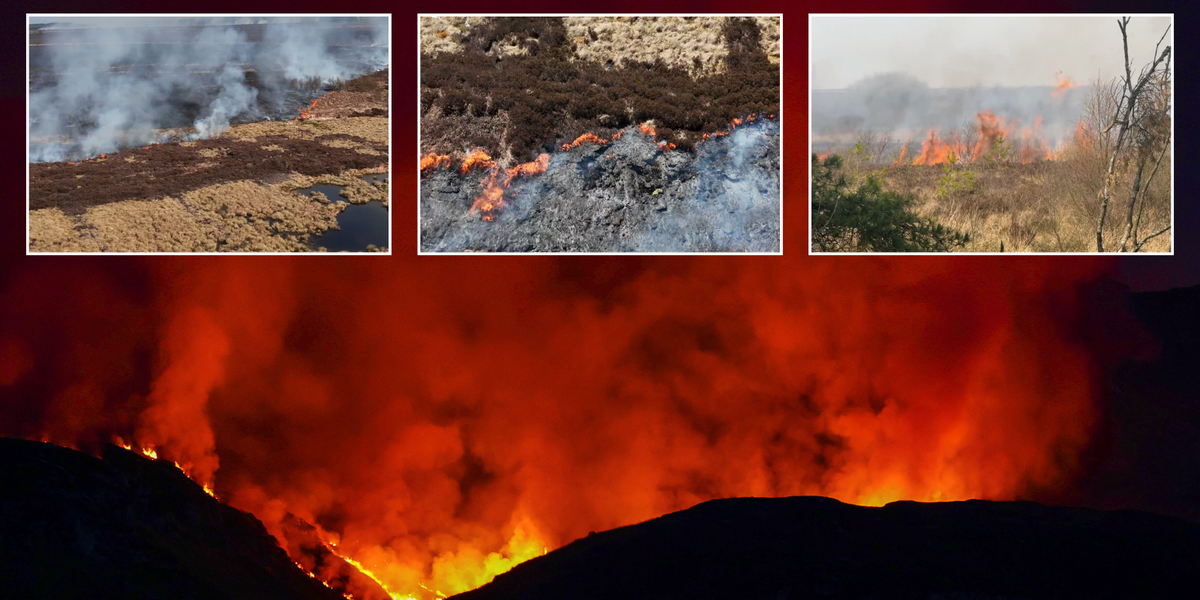 NextImg:'Devastating' Scottish wildfires 'will burn for DAYS' as spring heat leaves charred landscapes in its wake