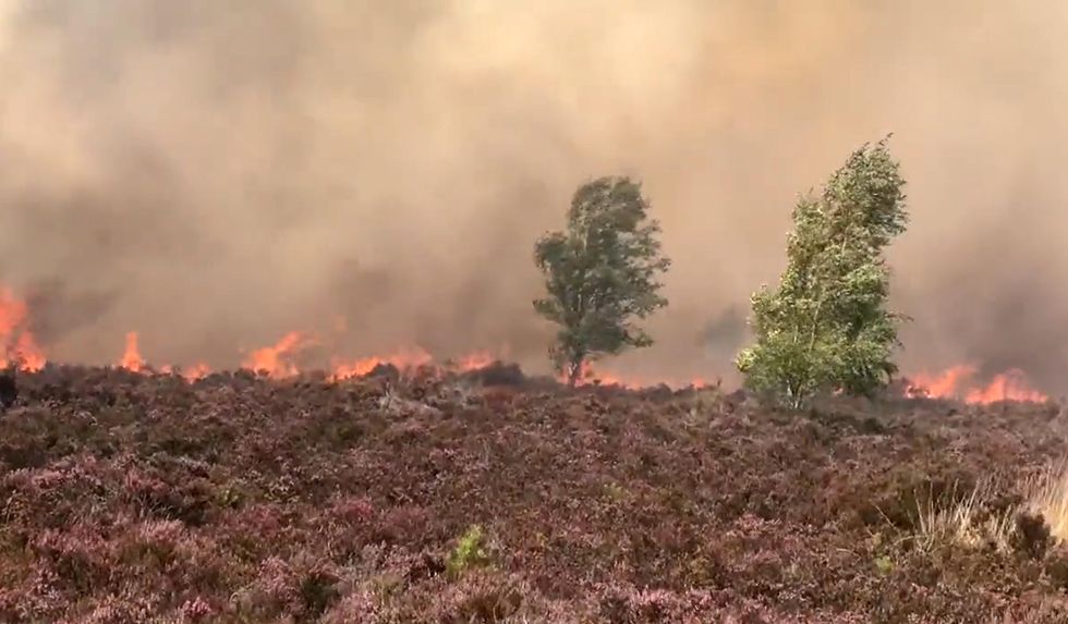 Screen grab from the Twitter feed of Alan Johnson of large blaze at Hankley Common in Surrey.