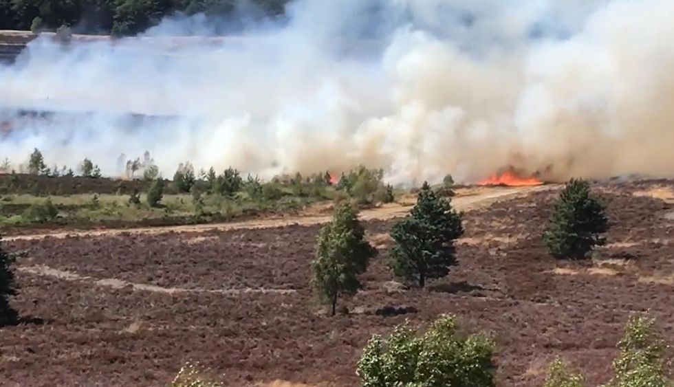 Screen grab from the Twitter feed of Alan Johnson of large blaze at Hankley Common in Surrey.