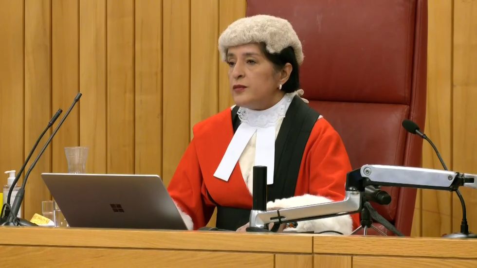 Screen grab taken from PA Video of Judge Mrs Justice Cheema-Grubb during a live broadcast from Southwark Crown Court, London, delivering her remarks ahead of the sentencing of Pc David Carrick for %22violent and brutal sexual offences%22 against a dozen women. Picture date: Tuesday February 7, 2023.