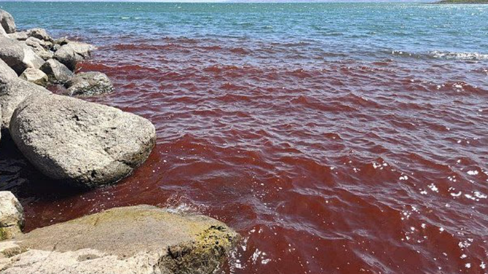 Sea of Galilee turns red in August 2025