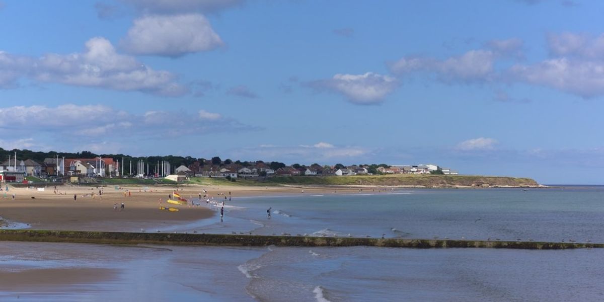 NextImg:'Human body parts' discovered on beach as police launch investigation