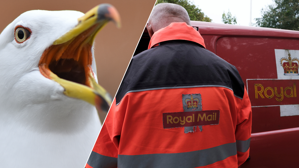 Seagull/Royal Mail