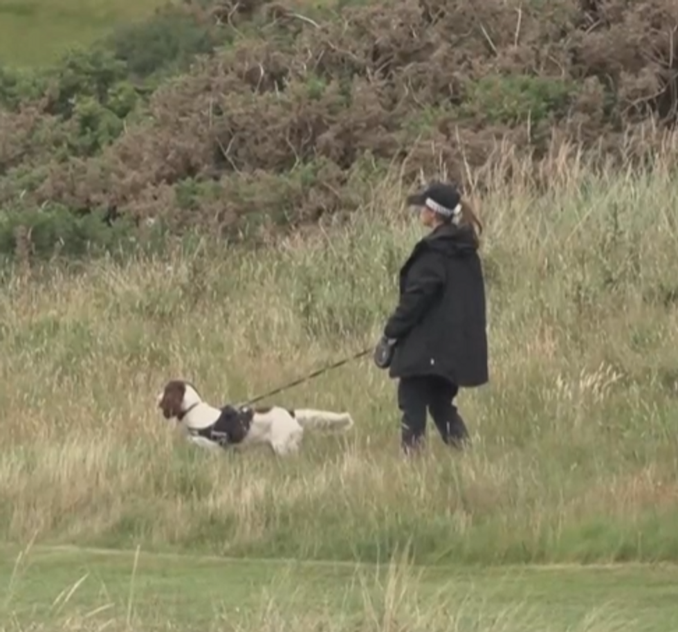 Search dogs were seen out on the course before Trump arrived