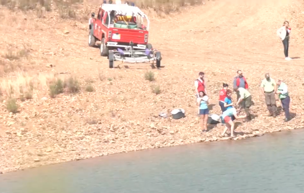 Searchers by a reservoir on the Algarve