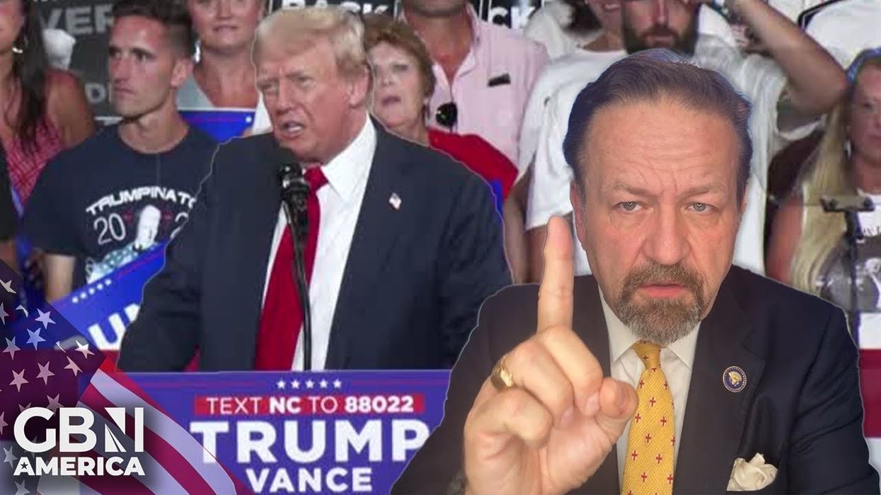 ‘The globalist enterprise is REAL!’ Sebastian Gorka lashes out at Labour’s ‘manoeuvre’ to steer US election