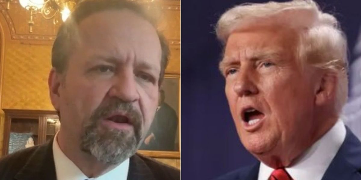 NextImg:Sebastian Gorka delivers Nato verdict: 'No more free loaders!'