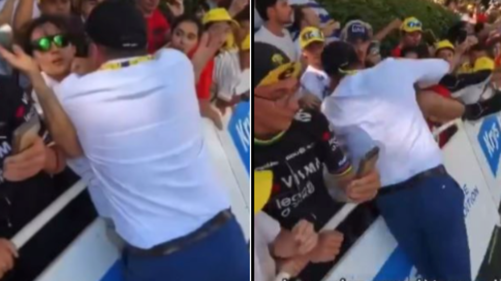 Security Guard pushes protestor