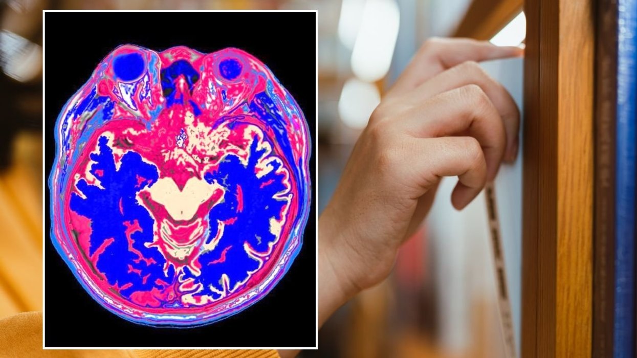 SELECTING BOOK AND BRAIN SCAN