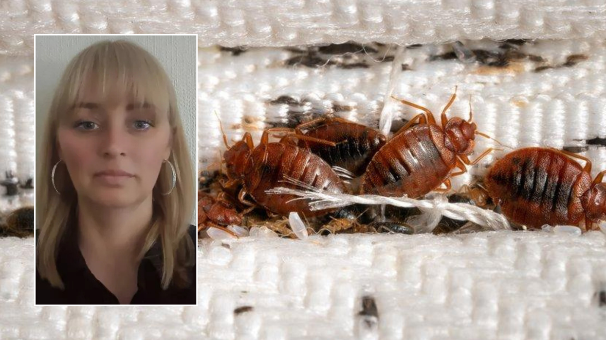 Selina Dalglish/bed bugs