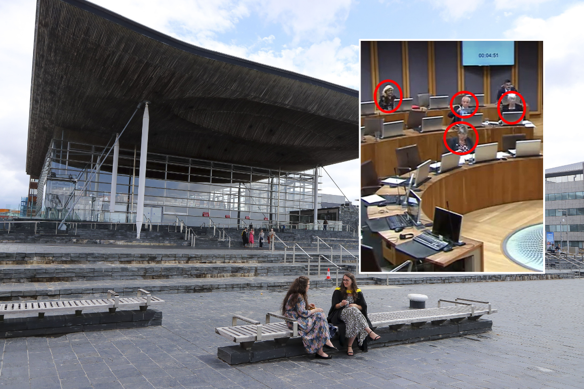 Senedd Building
