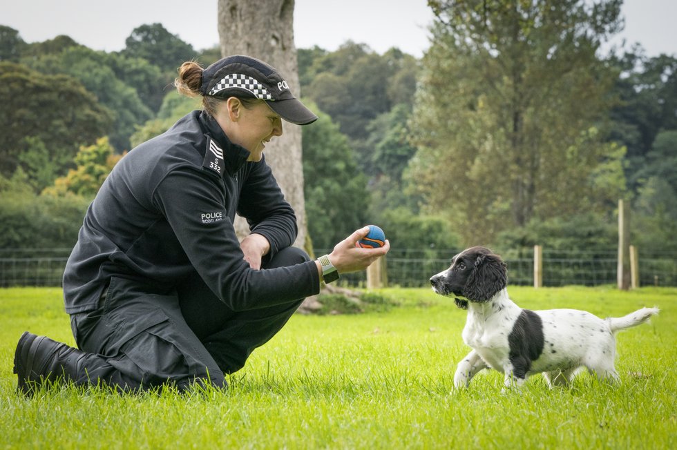Sergeant Lynsey Buchanan-Barlas with new recruit Buddy
