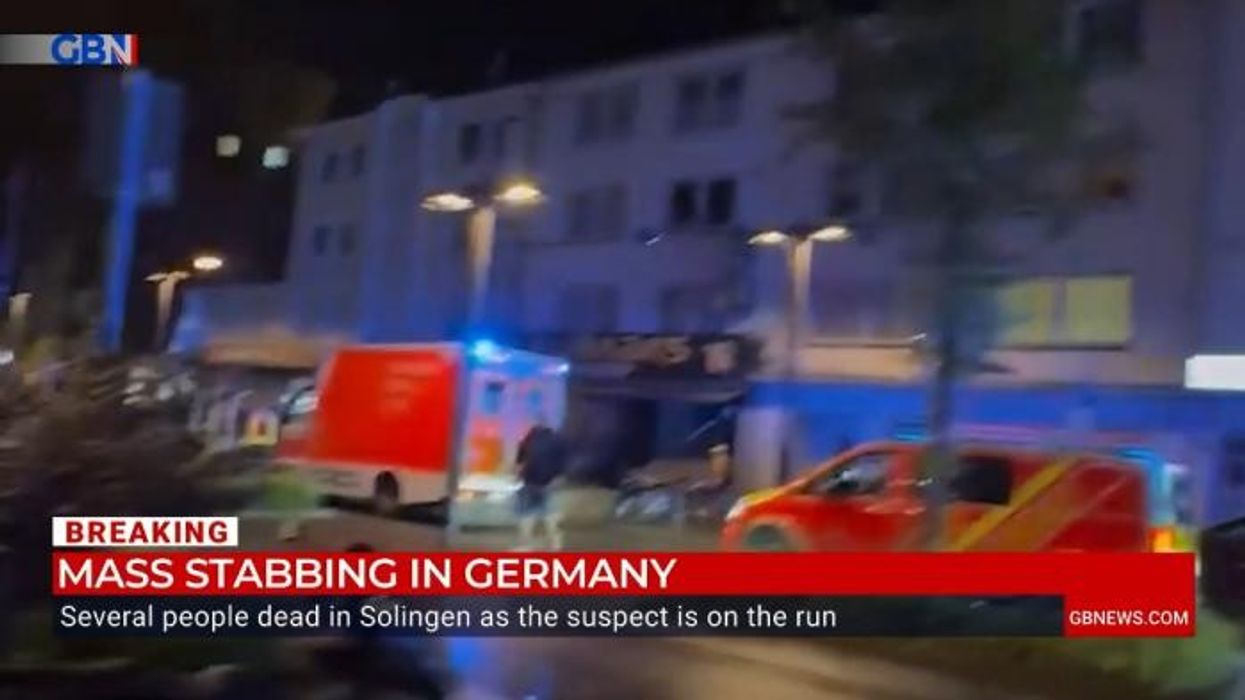 Asylum seeker who killed three people and wounded 10 others in horrific knife attack at 'festival of diversity' pleads guilty