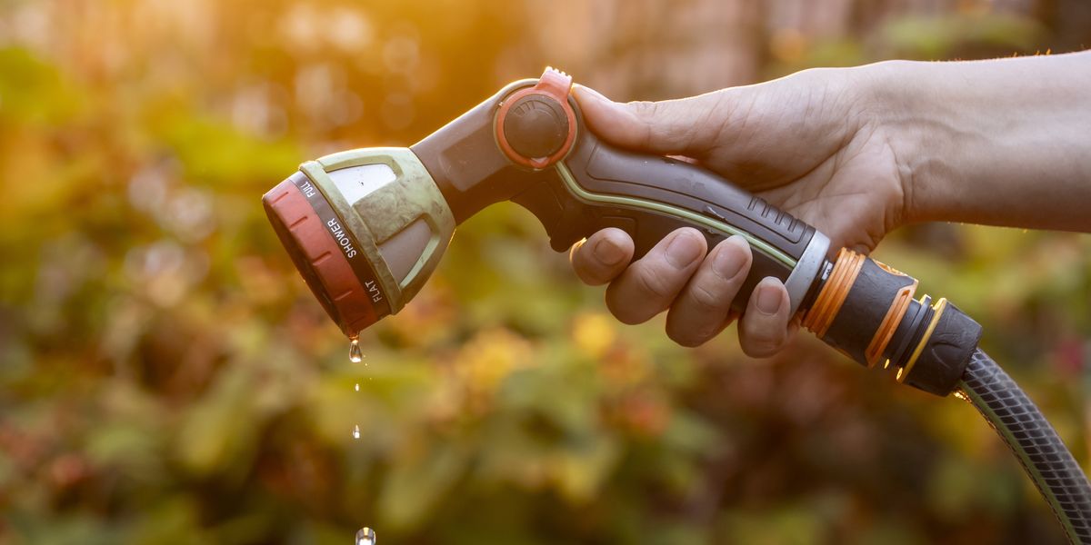 NextImg:UK heatwave sparks MORE hosepipe ban concerns as water shortfall declared 'nationally significant'