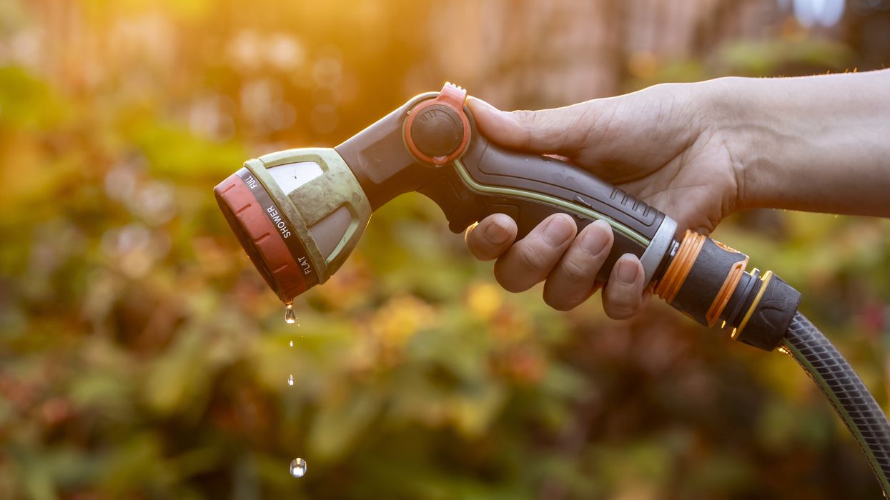 UK heatwave sparks hosepipe ban concerns as water shortfall declared 'nationally significant'
