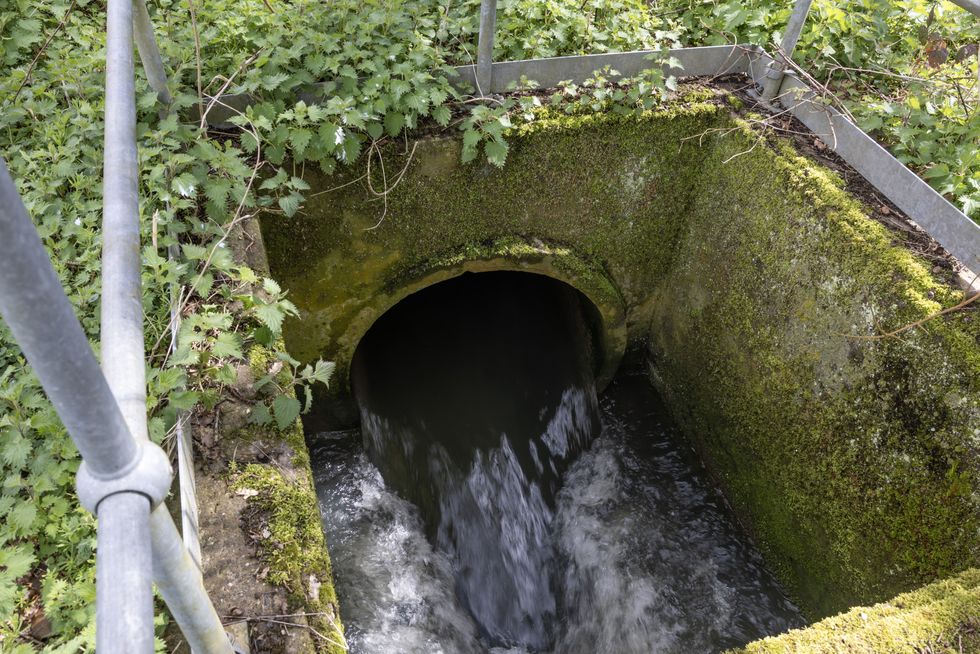 Sewage is discharged into Earlswood brook from the nearby treatment works