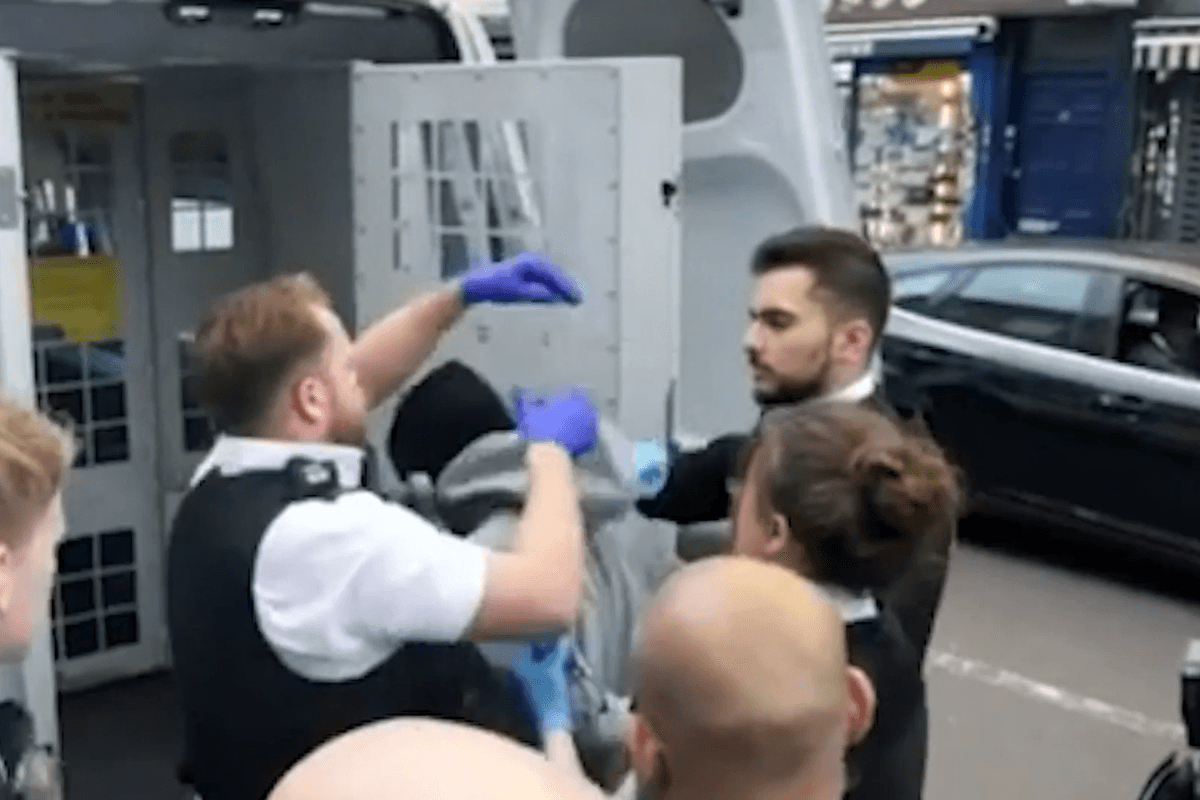 sex offender is rearrested