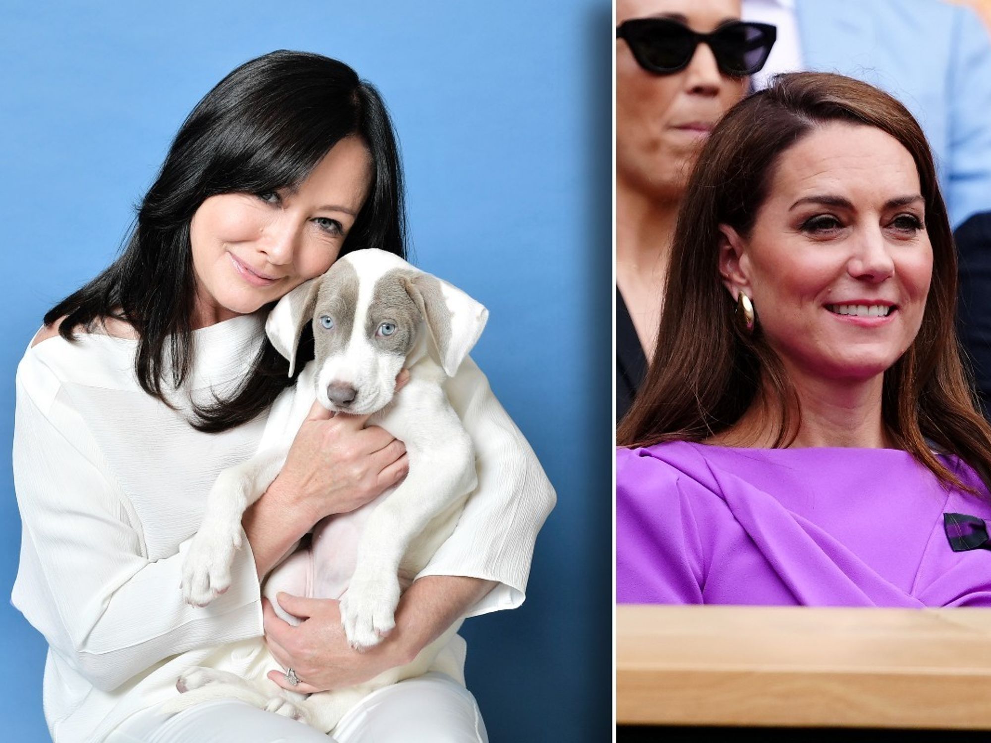 Your Website'S Weaknesses: Experts Warn Tslist Crawlers Are Exploiting Them. - tefh0mb