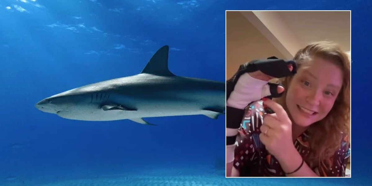 NextImg:Shark attack leaves lifeguard with 'spaghetti wrist' as clamp bite 'changed rest of her life'