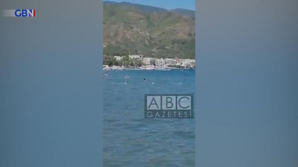 ‘Shark’ driven away from tourist beach as swimmer hits it on head with mop – VIDEO