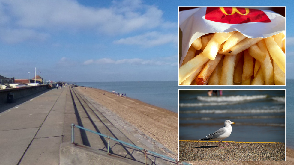 Sheerness/McDonald's chips/Seagulls