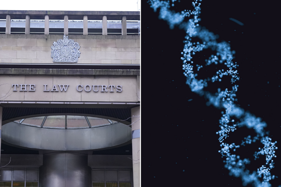 Sheffield Law Courts/DNA