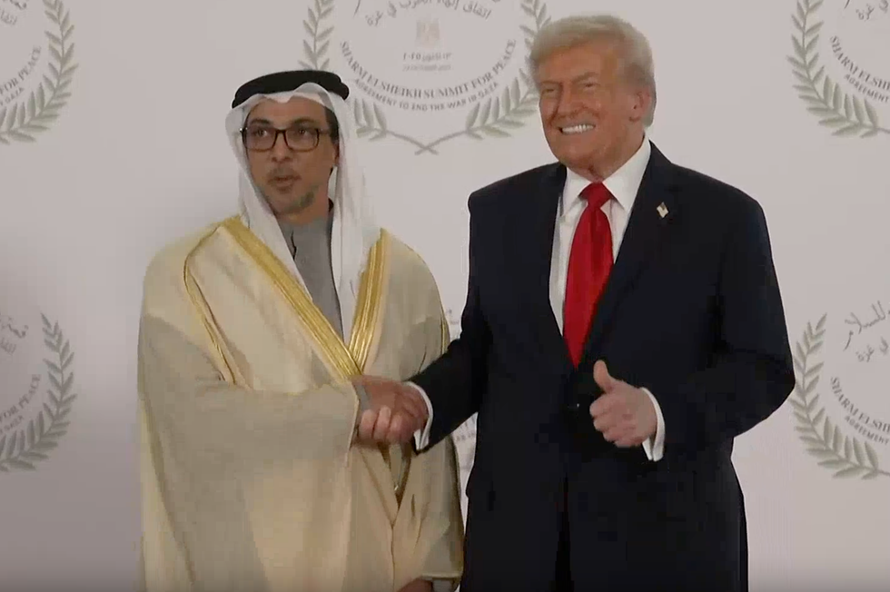 Sheikh Mansour bin Zayed Al Nahyan, Donald Trump