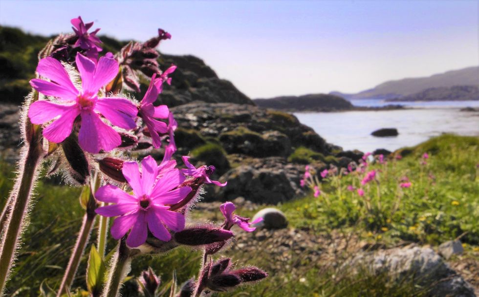 Shetland islands
