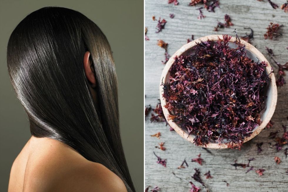 Shiny hair stock image and seaweed