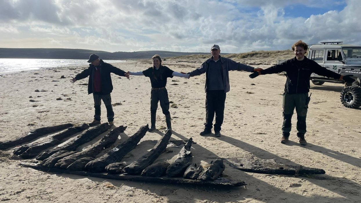 Shipwreck Dorset beach