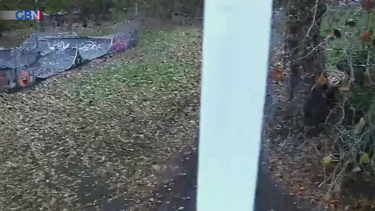 Shocking moment Iraqi immigrant, 28, stabs teen in brutal daylight attack because he WANTED to get deported