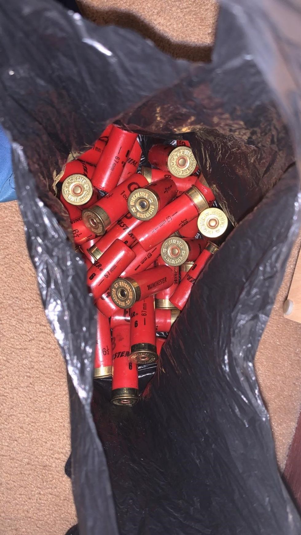 Shotgun cartridges found in the home.