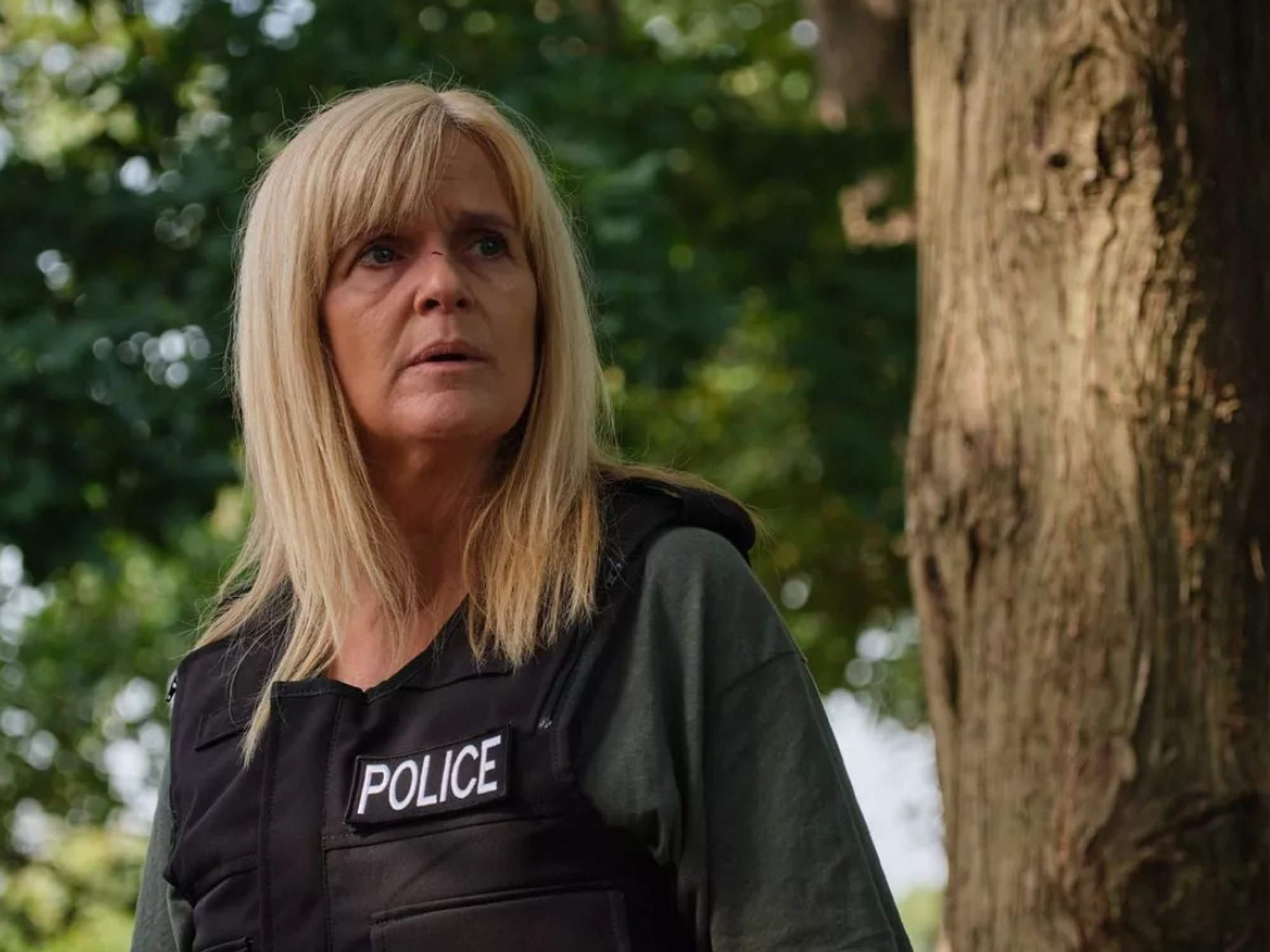 Siobhan Finneran as DI Liz Nyles