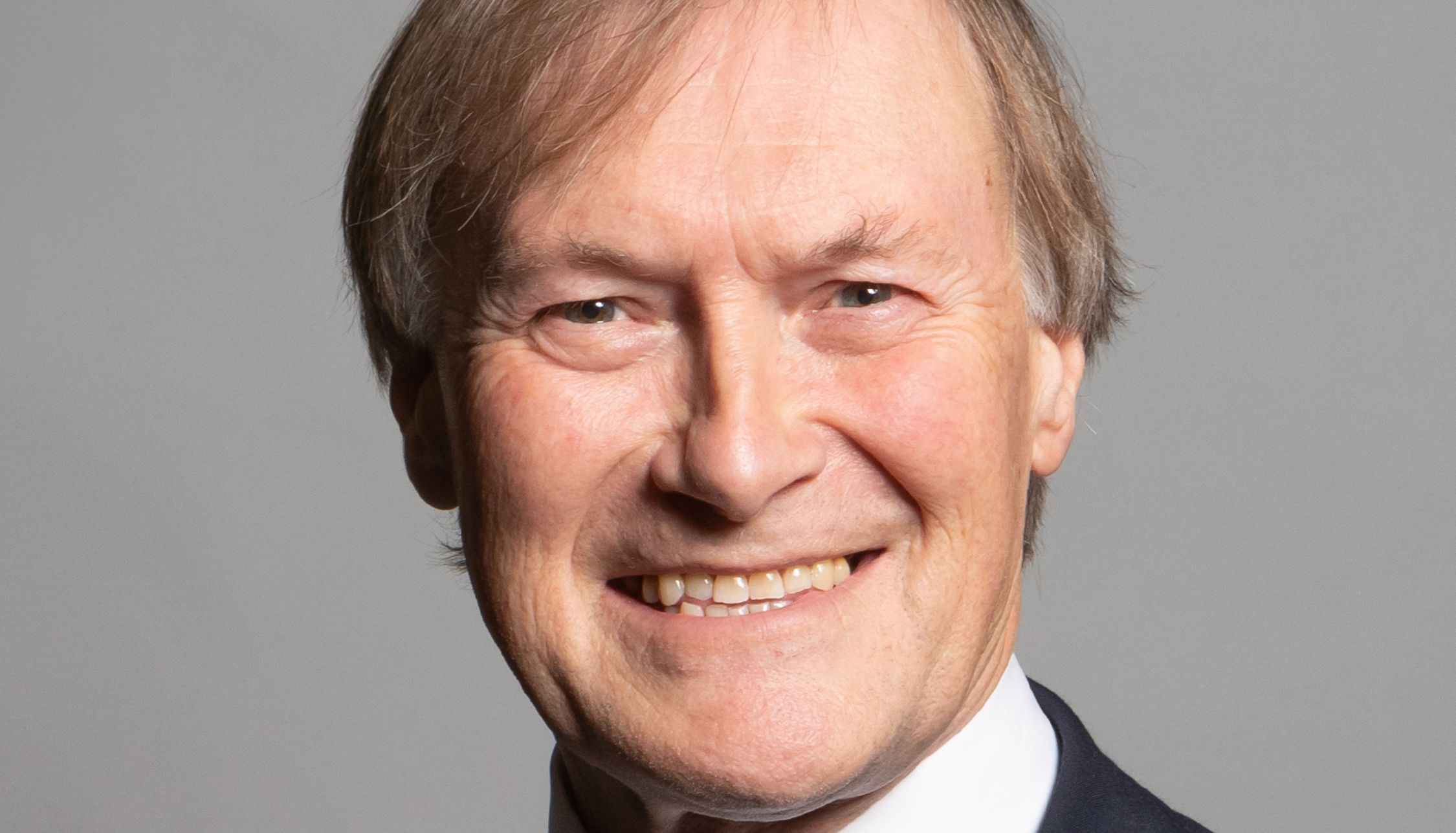 Sir David Amess was killed in October last year