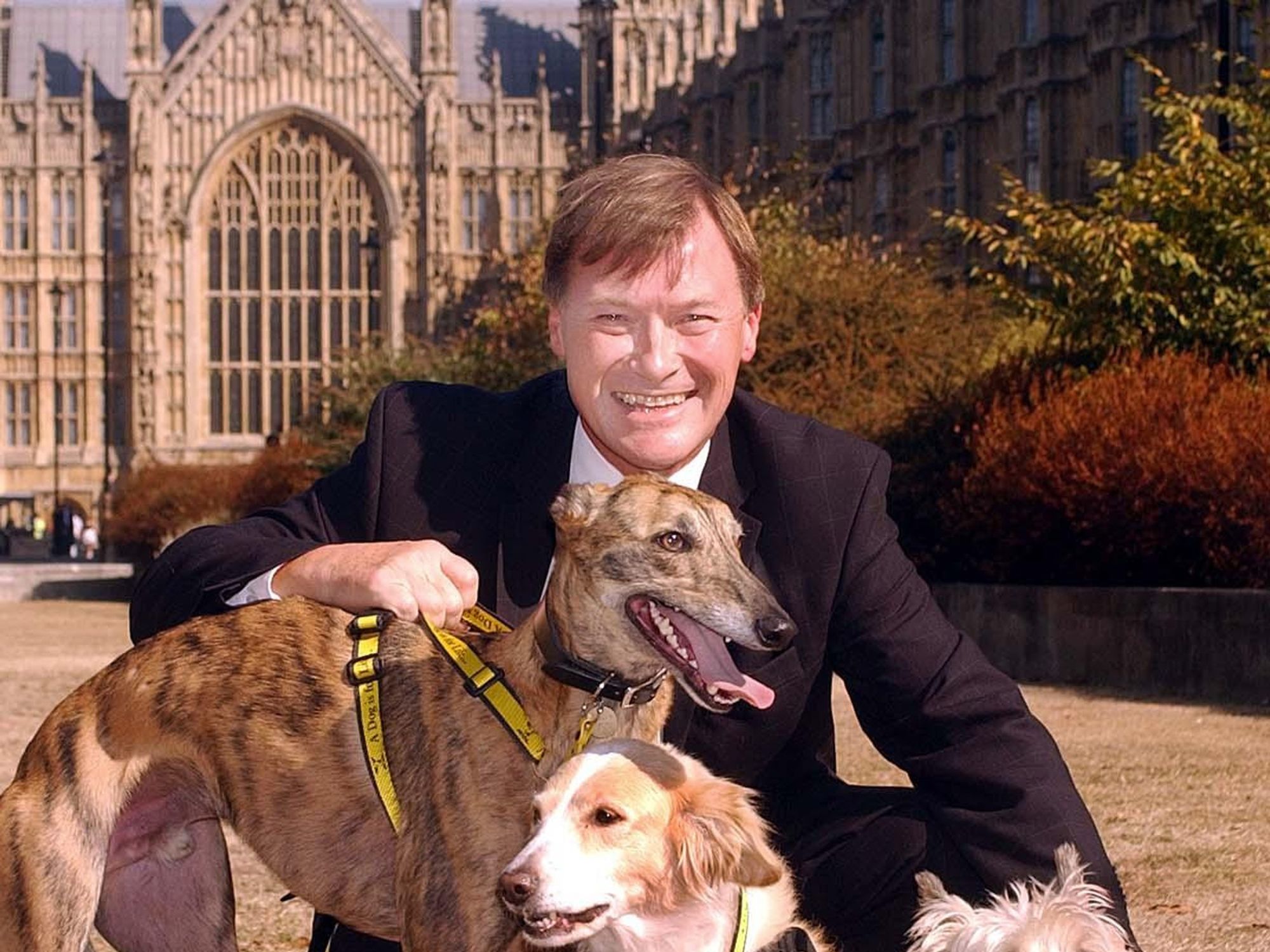 Sir David Amess