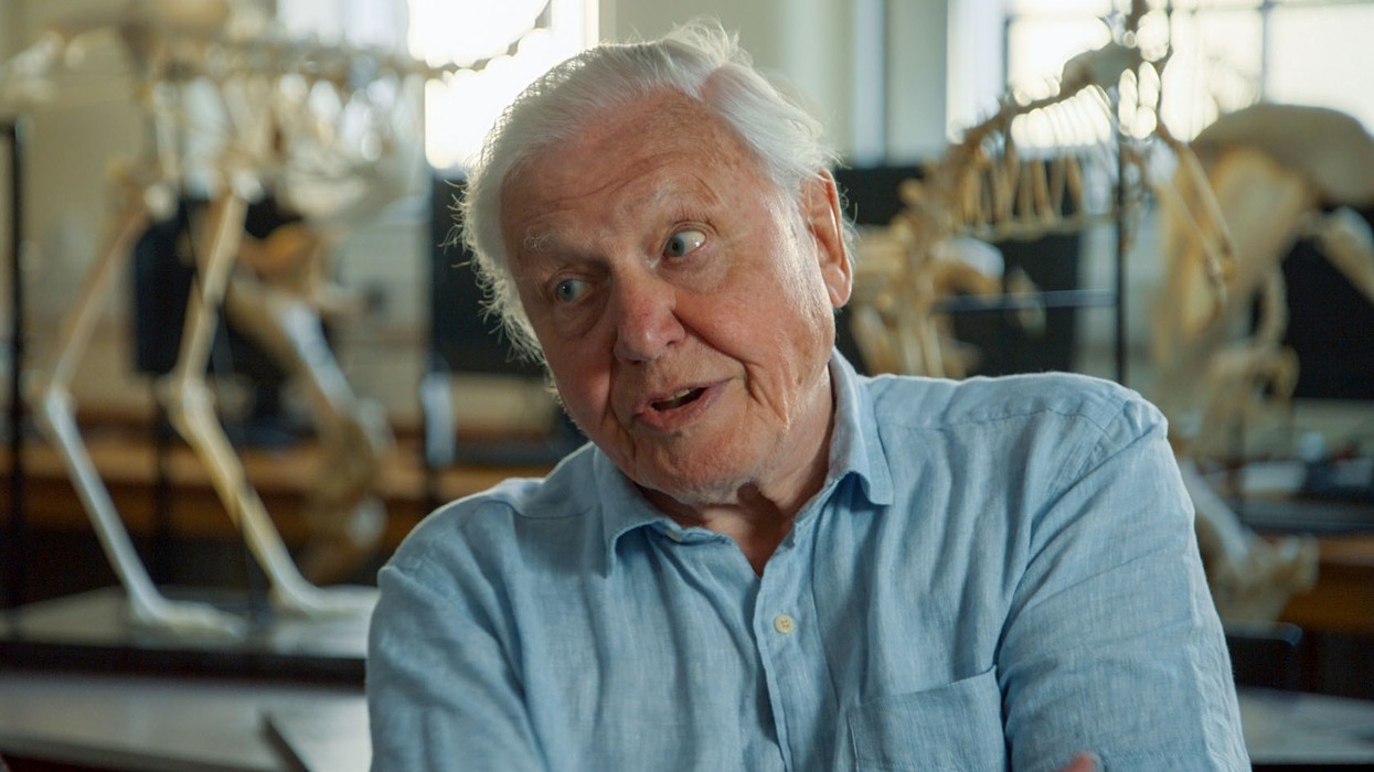 Sir David Attenborough
