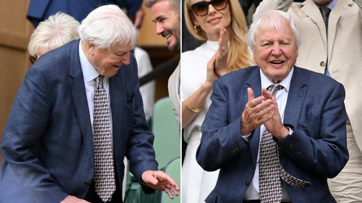 Sir David Attenborough