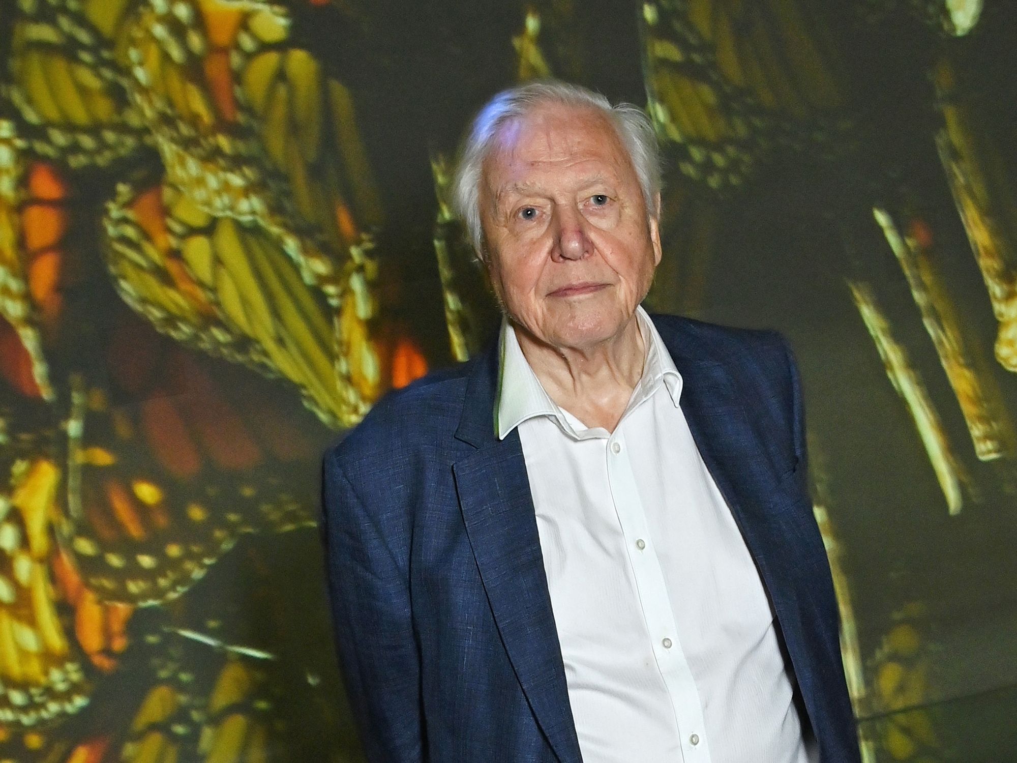 Sir David Attenborough