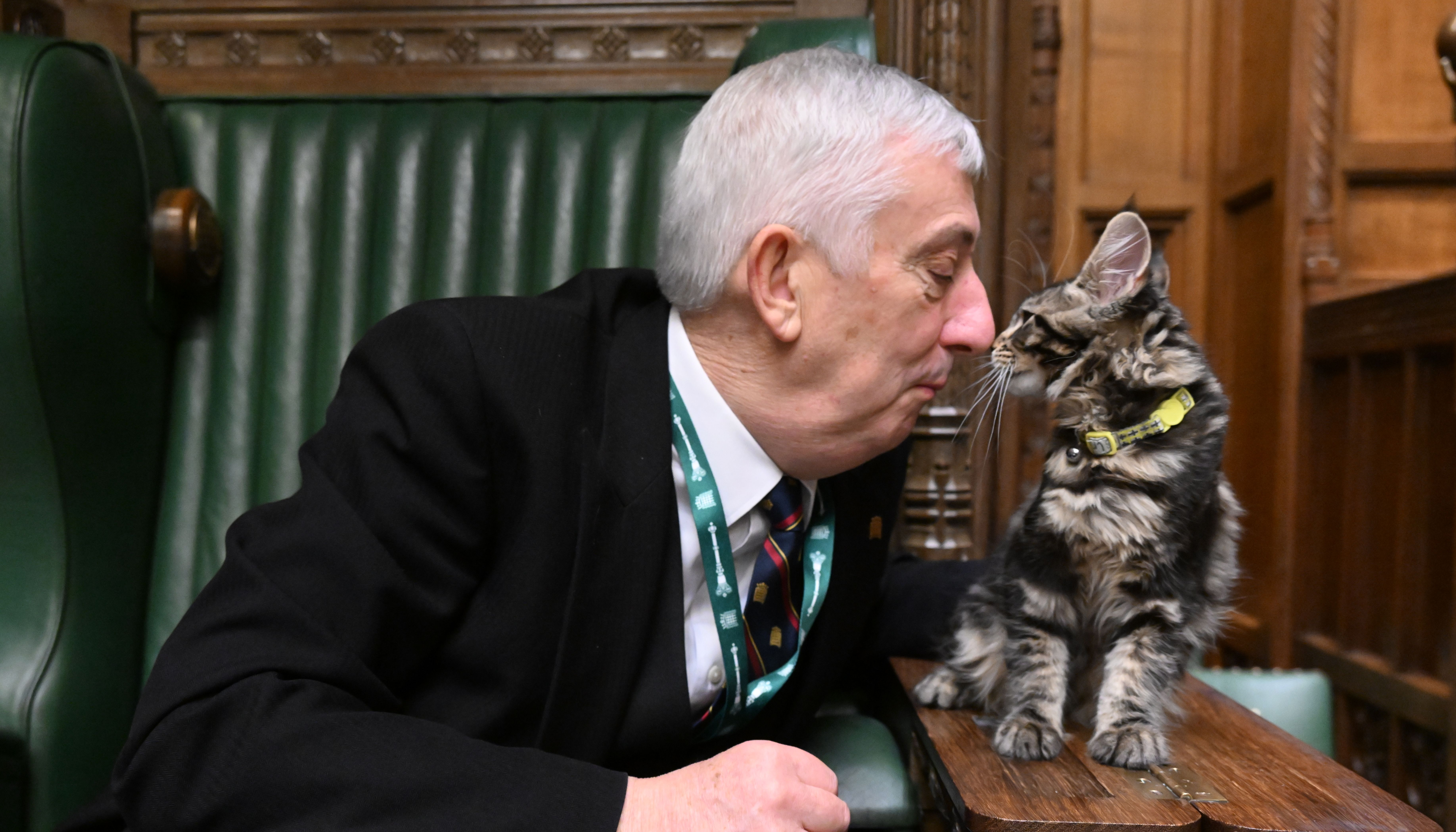 Sir Lindsay also owns a parrot named Boris.