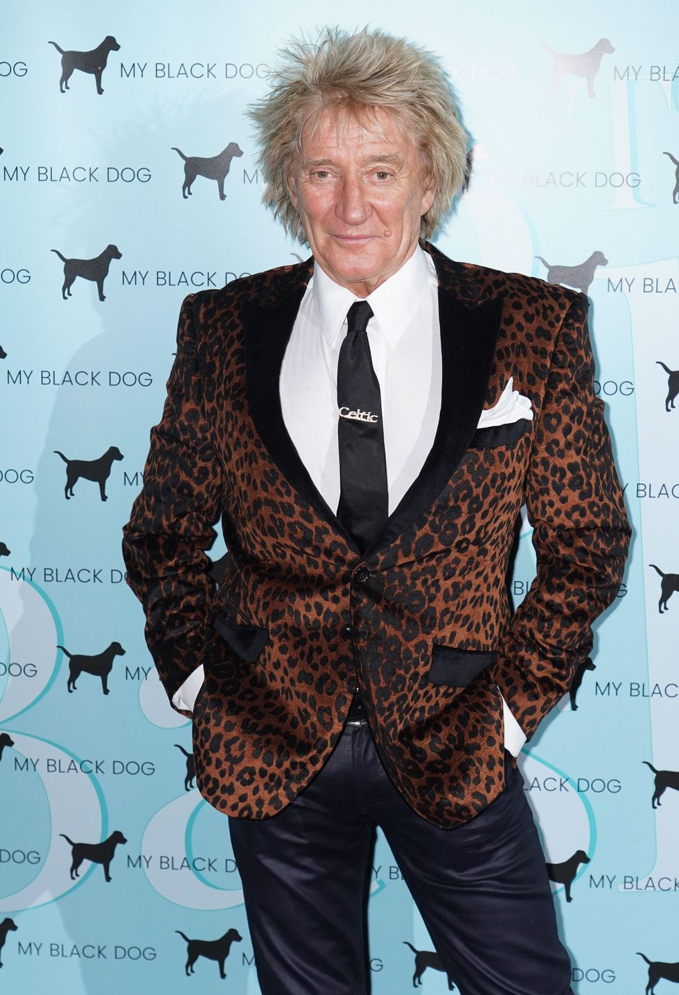 Sir Rod Stewart