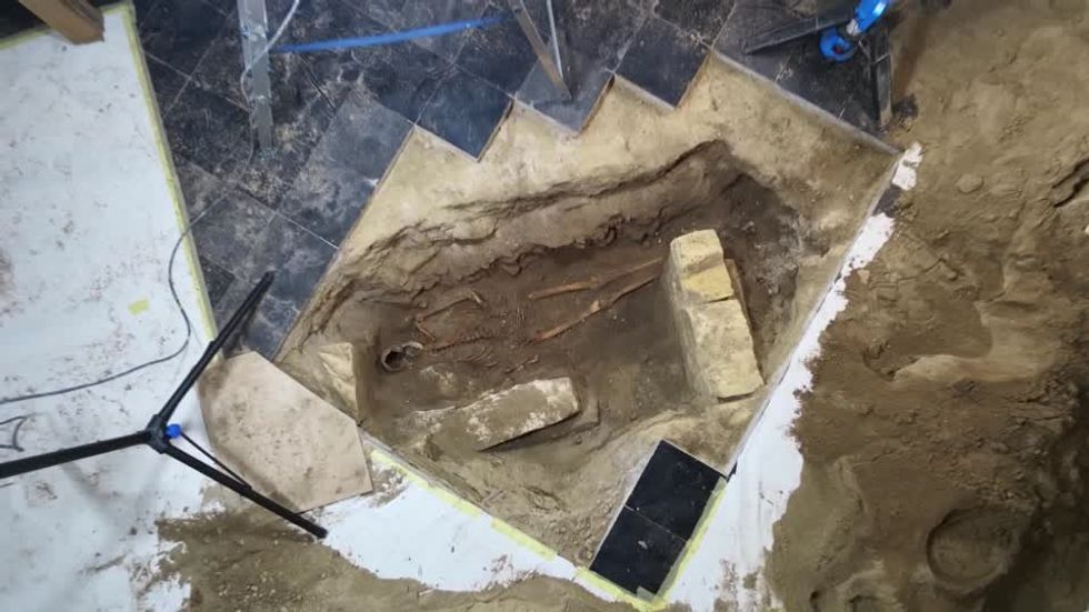 Skeleton of D'Artagnan