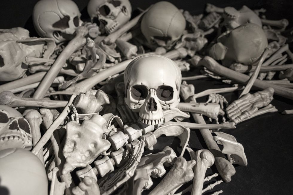 skeleton
