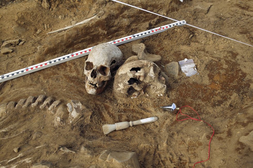 Skull dig site (stock)