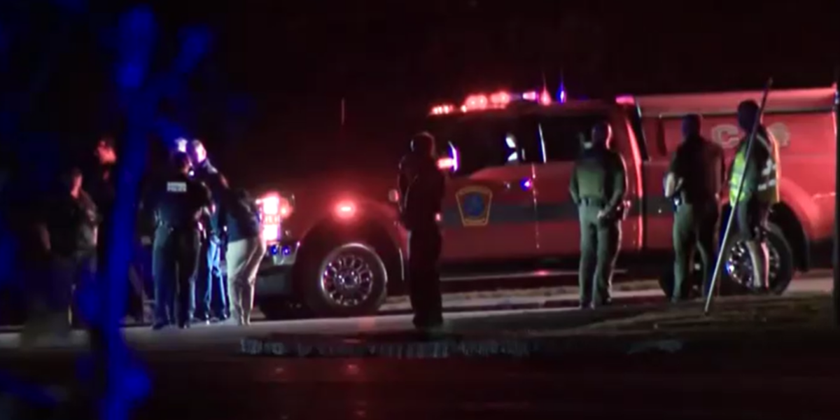 NextImg:Masked pro-Palestine gunman kills wedding guest and injures two more in vile US rampage