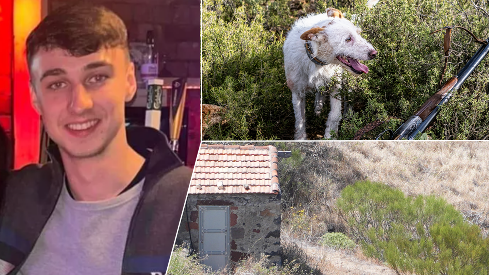 Slater/Podenco dog/search in Tenerife