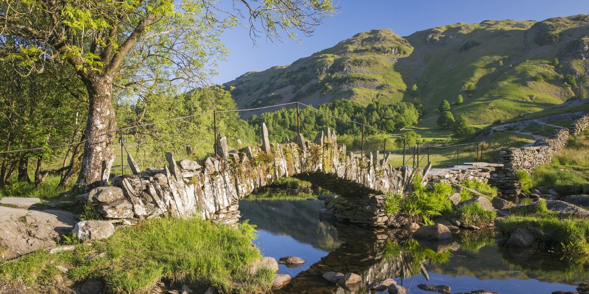String of cancer-causing ‘forever chemicals’ discovered around Lake District String of cancer-causing ‘forever chemicals’ discovered around Lake District