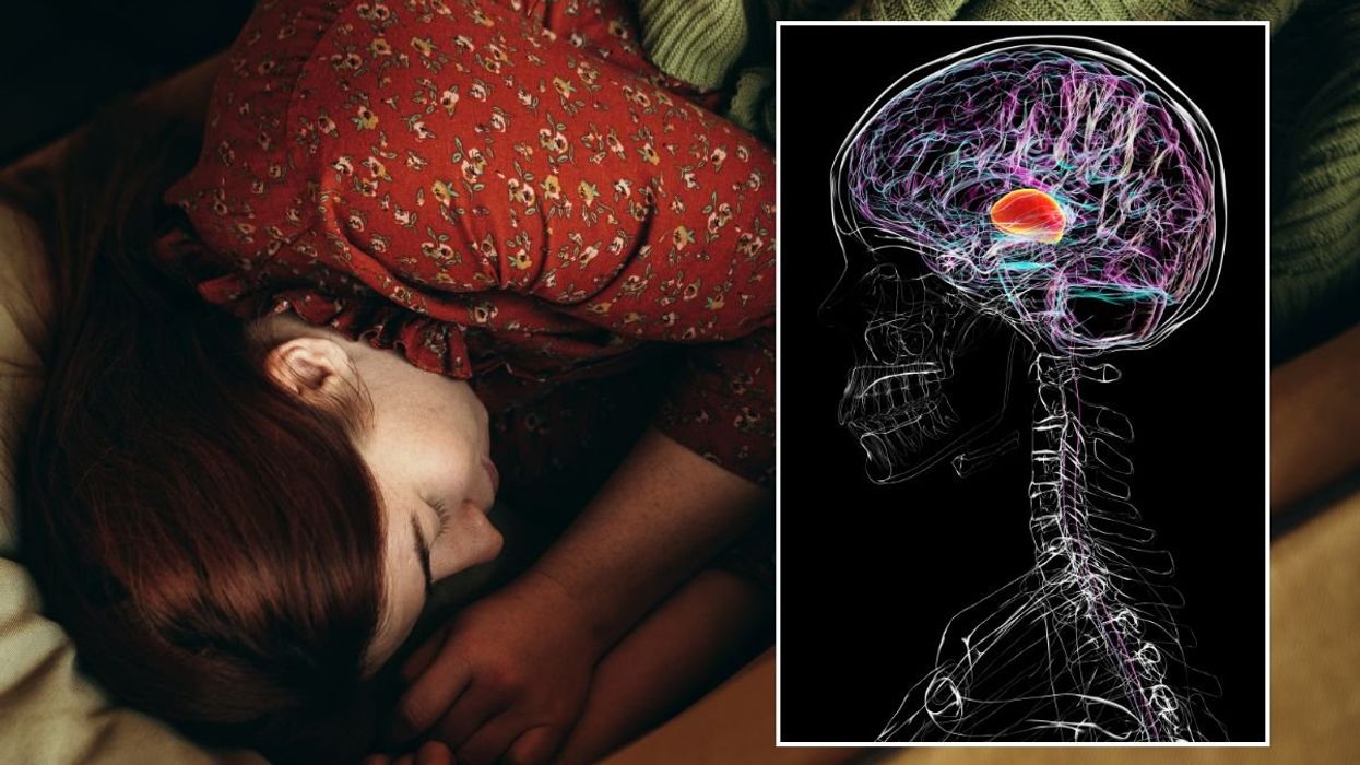 sleeping human and brain illustration