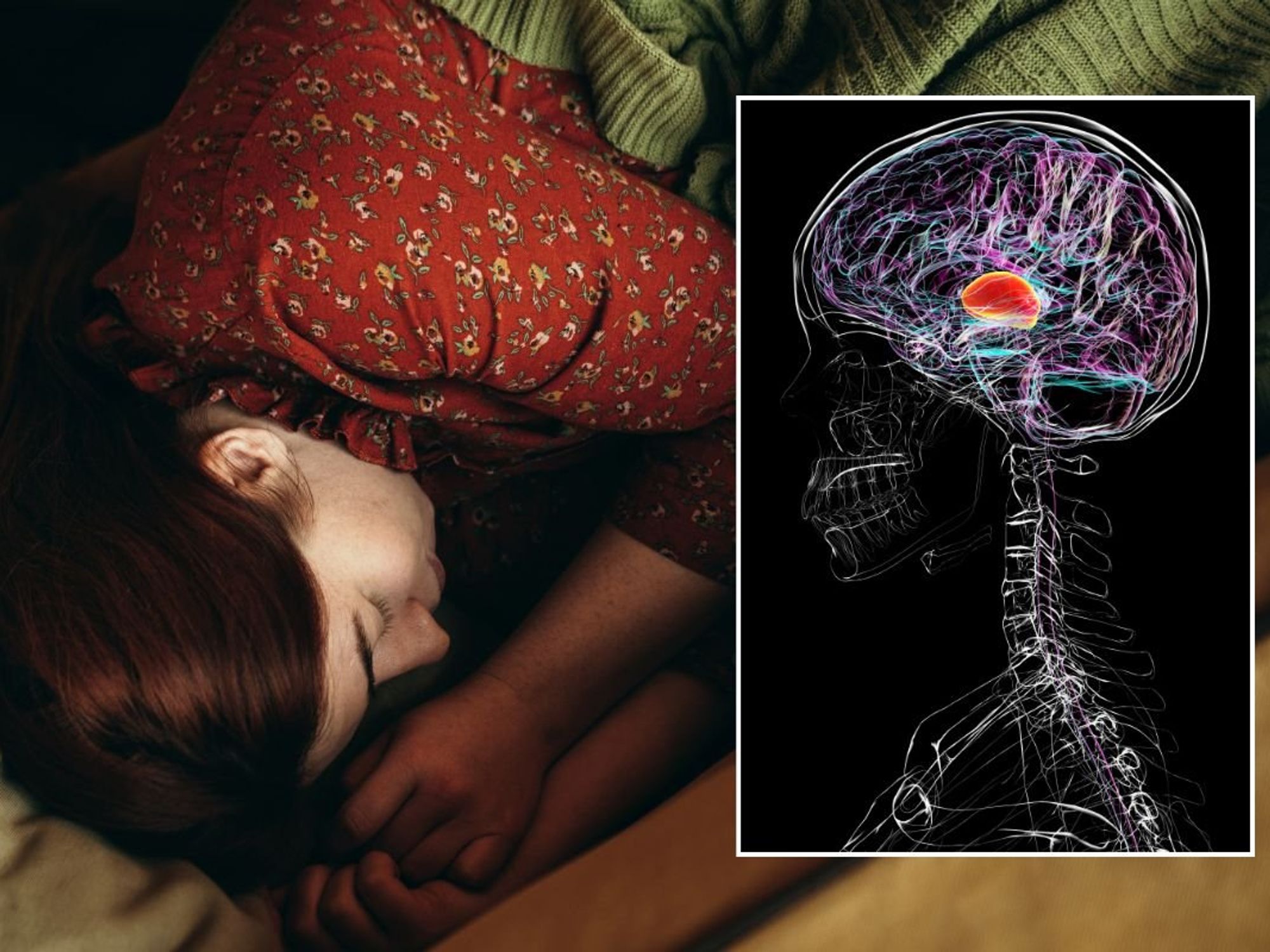 sleeping human and brain illustration