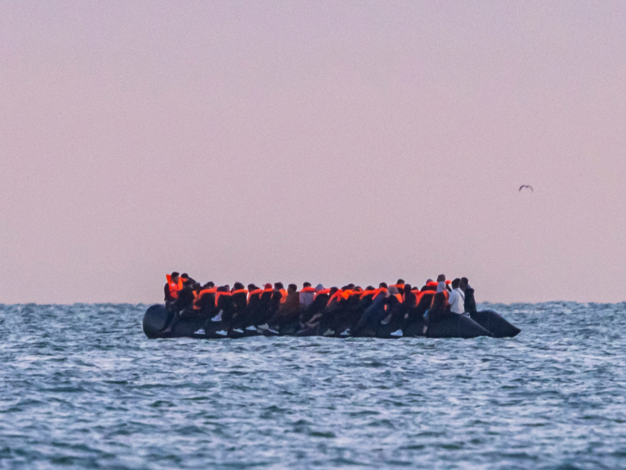 Small boat migrants
