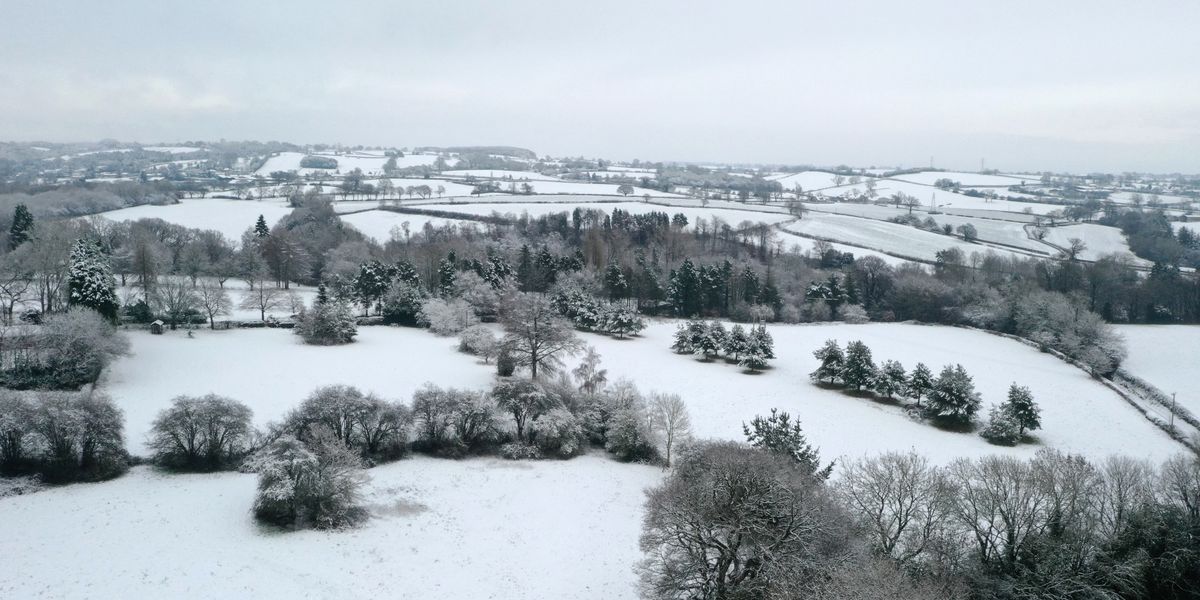 NextImg:UKHSA issues cold warning as -8C chill to bite Britain and snow to bring travel chaos